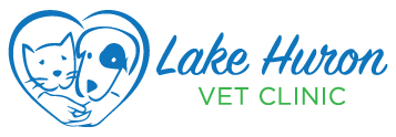 Lake Huron Veterinary Clinic